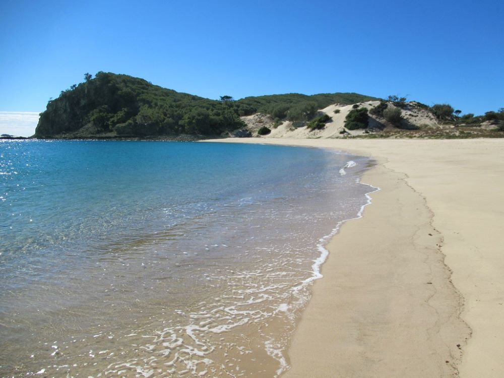 calm ocean during day time - Best Beaches in Australia