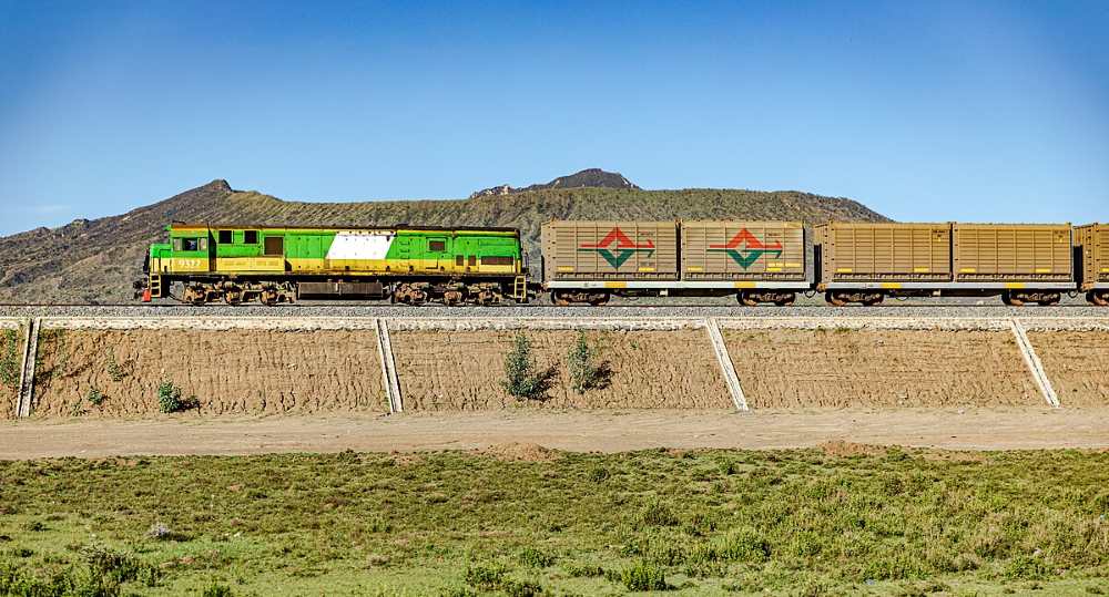 green and yellow train in a field