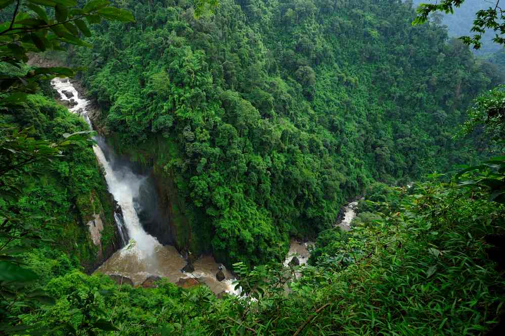 waterfalls in the middle of the jungle surrounded by green trees