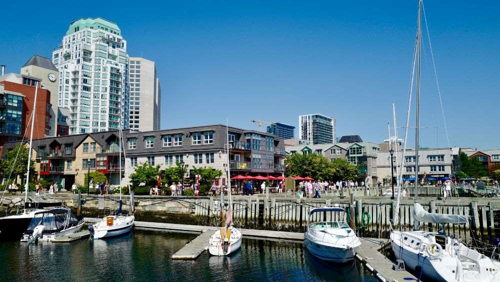 body of water with yatch and buildings nearby- canada digital nomad visa