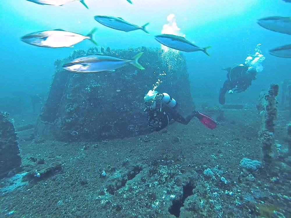 scuba divers near a wreck surrounded by fishes - Best Scuba Diving in Australia