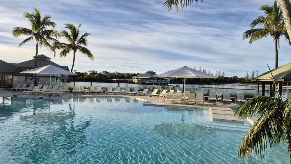 large swimming pool with lounger and palm trees