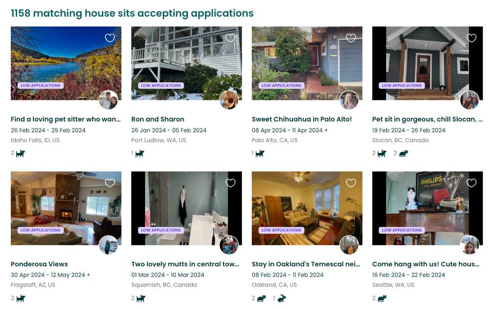 screenshot of result searching house sit
