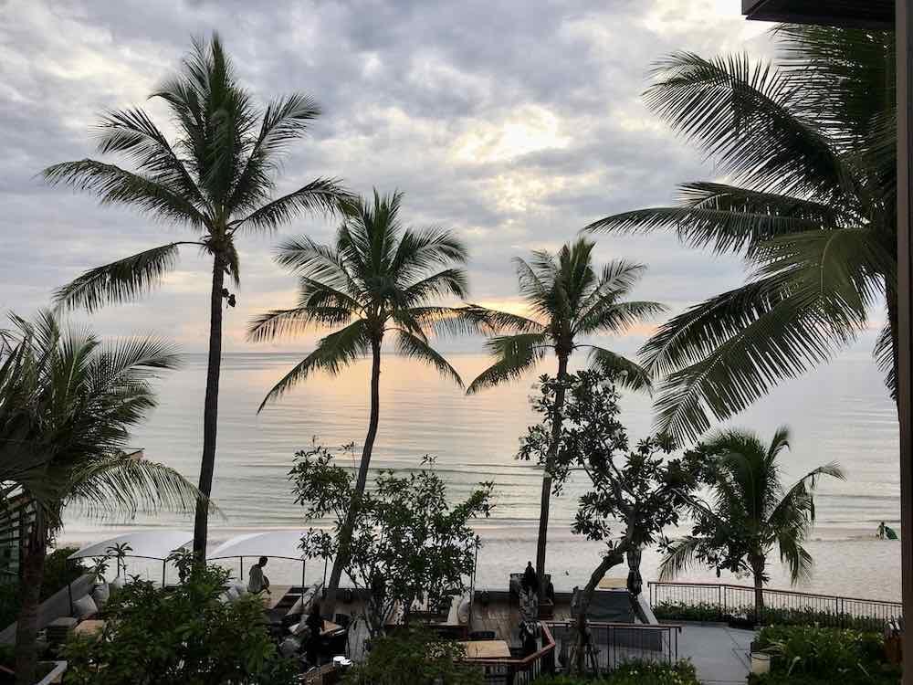 coconut trees and beach view