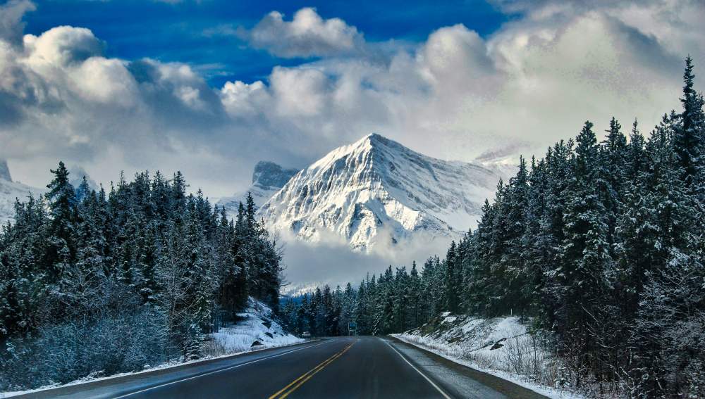 road surrounded by trees with view of a snowy mountain - Best road trips in the world
