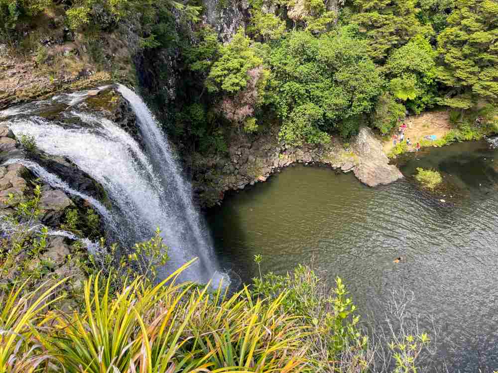 waterfalls surrounded by trees