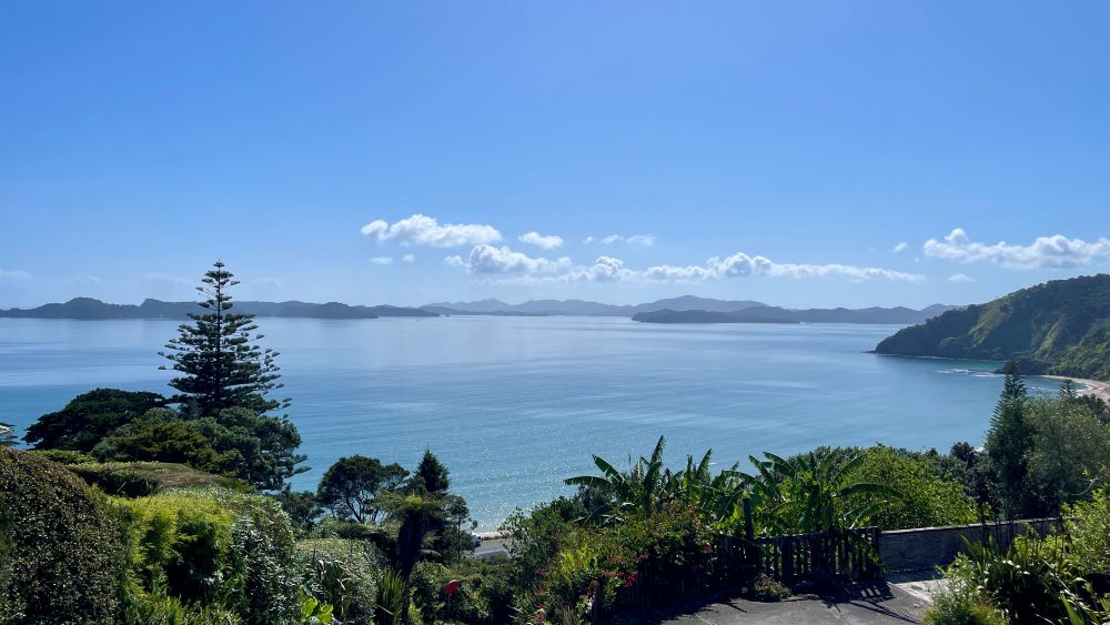 ocean view surrounded by green trees