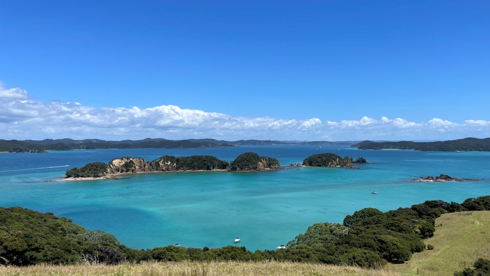 blue ocean with island full of green plants