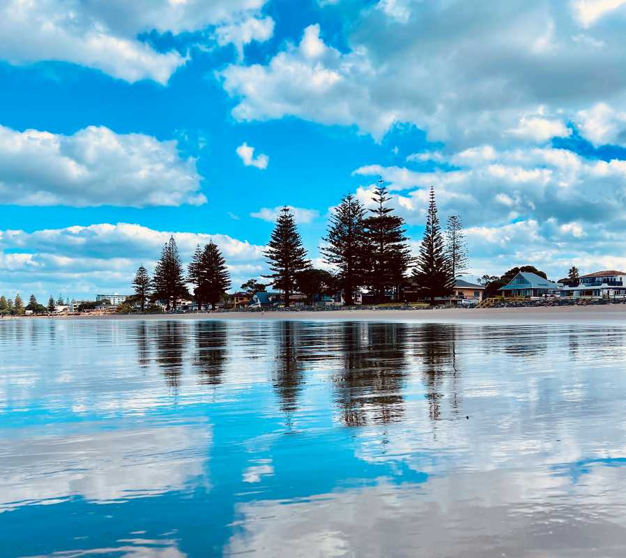 body of water near houses and trees