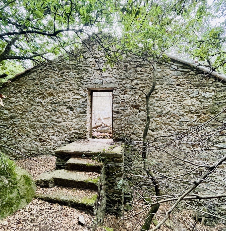 old ruin house like structure showing door with doorsteps
