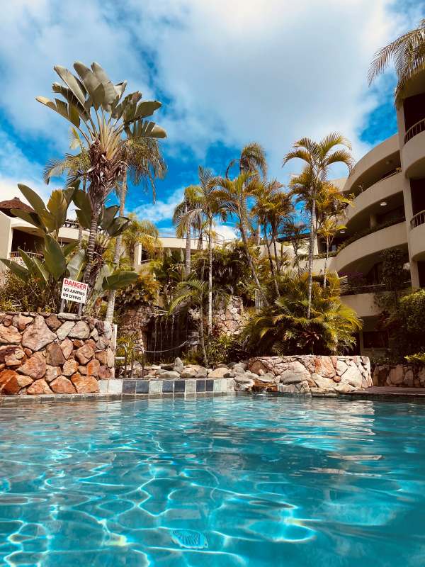 pool with trees on the side