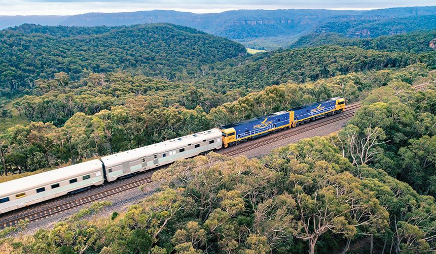 blue and white train in between forest- luxury train rides