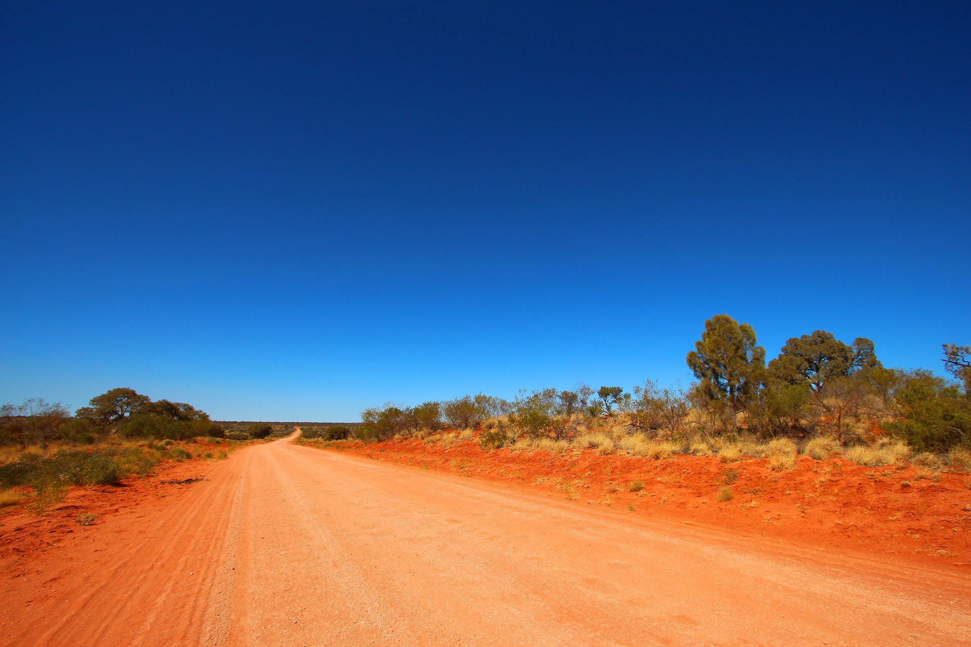 internship-australia-3