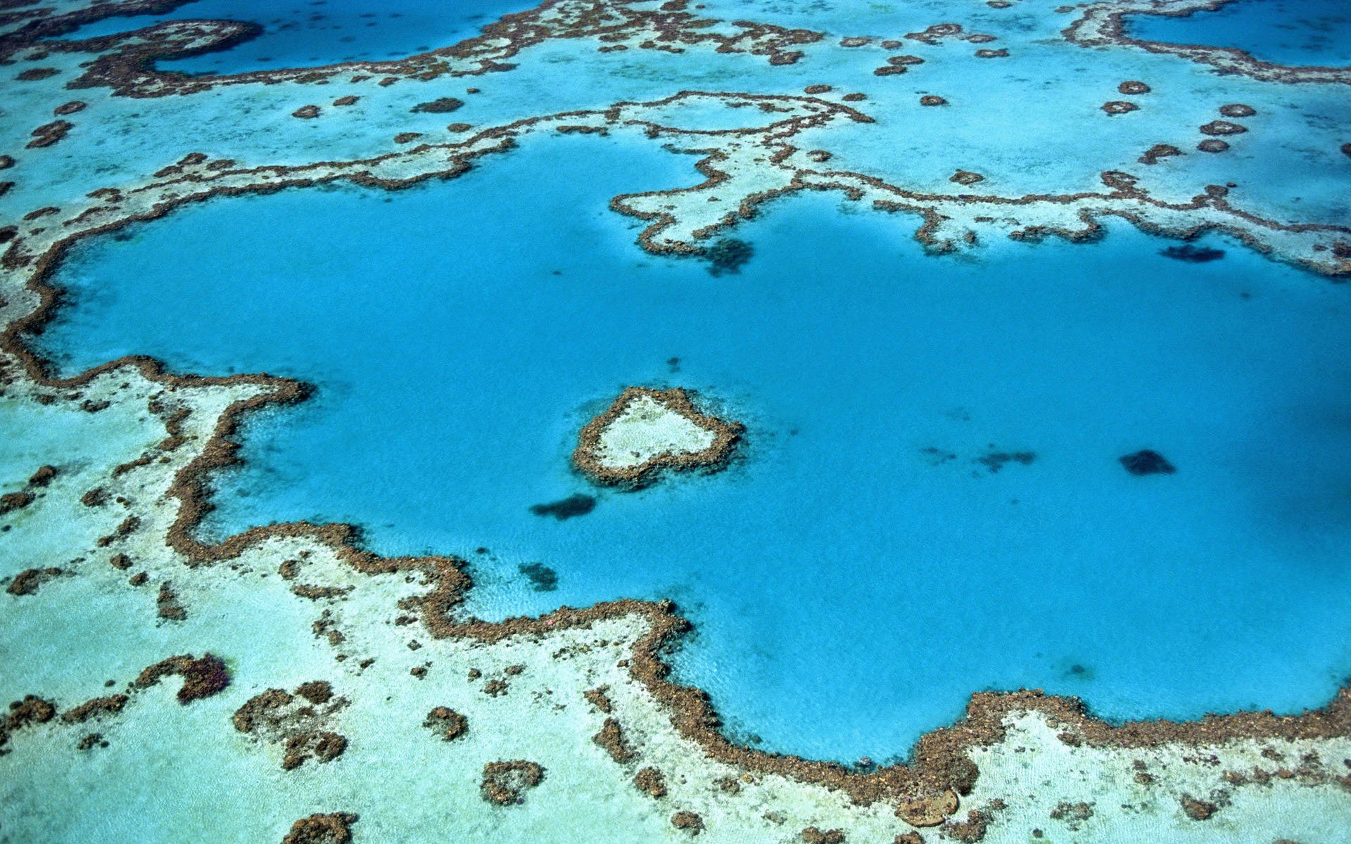 internship-australia-1