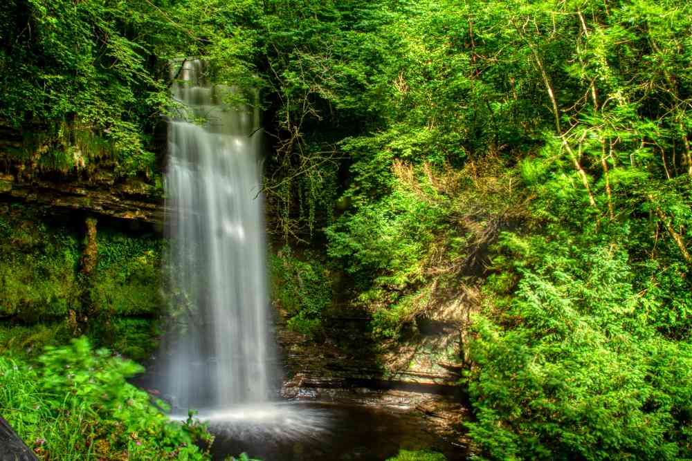 waterfalls in the middle of the forest full of green trees- ireland digital nomad visa
