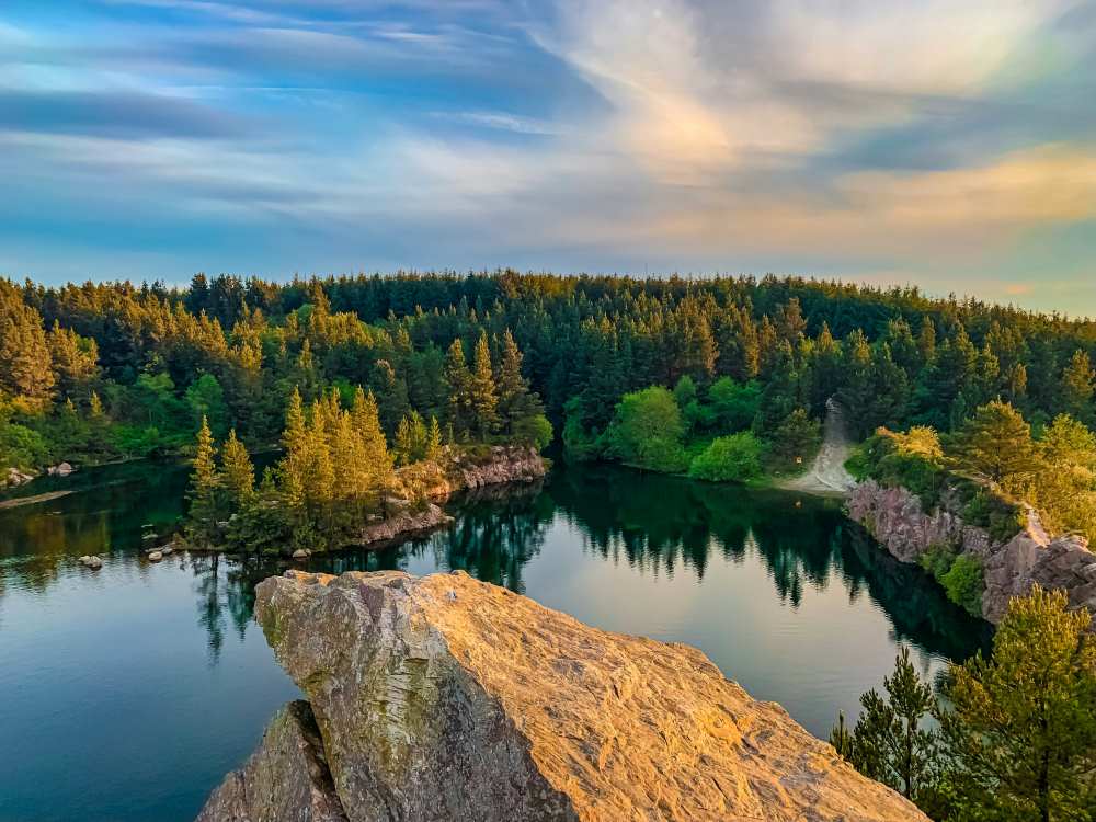 green trees on top of rock near body of water- ireland digital nomad visa