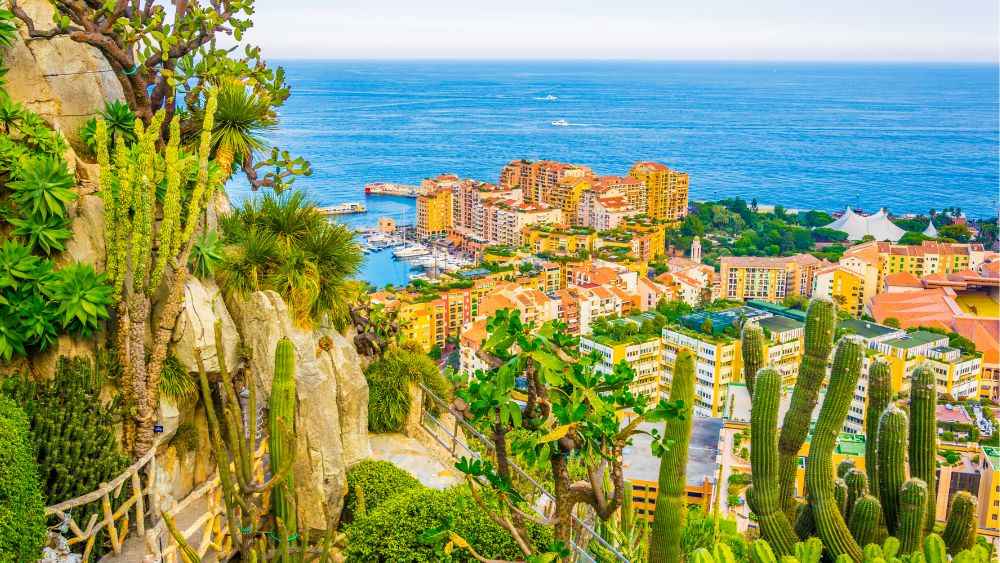 cactus and different kind of plants on top of the hill showing the beautiful view of the city near the ocean- Things to do in Nice, France