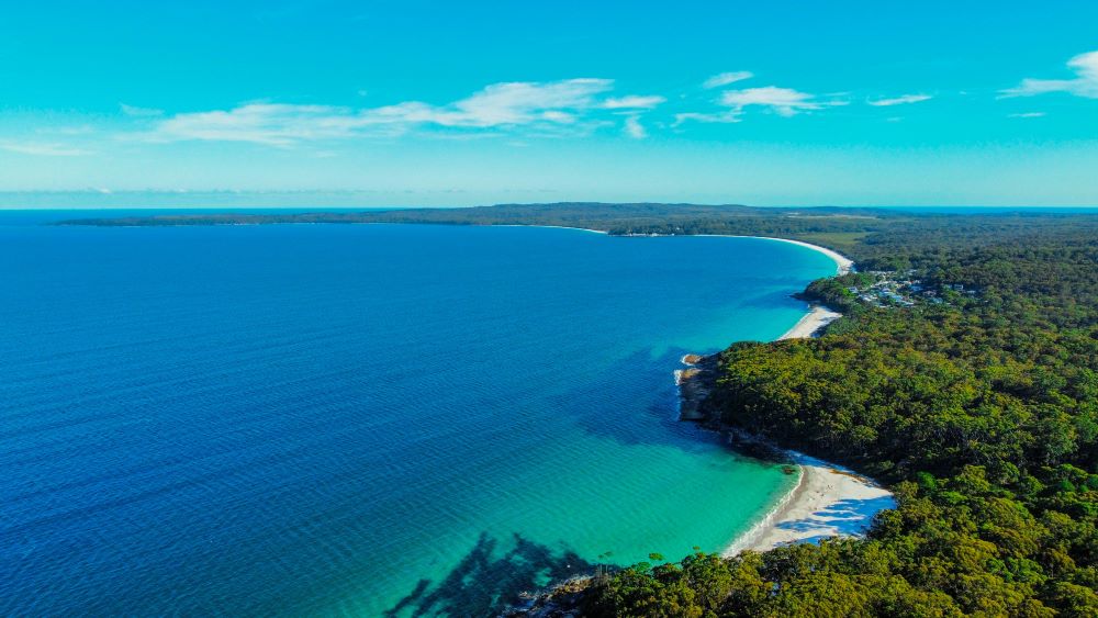 aerial view of the beach surrounded by green trees