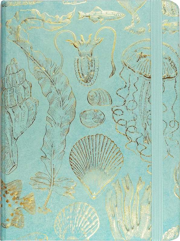 beach design journals