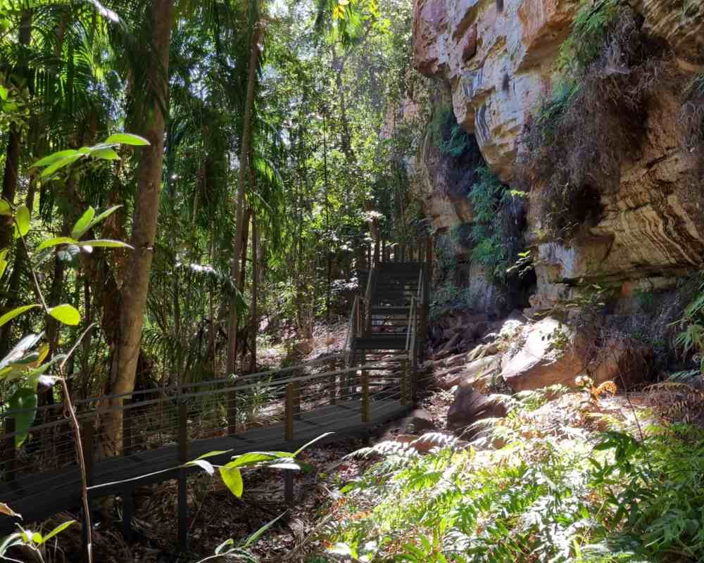 brown wooden stairway in the middle of the forest - reasons to visit australia