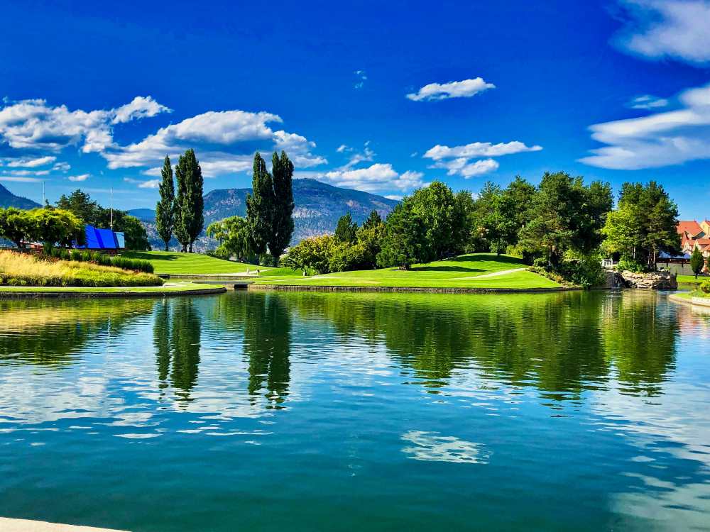 peaceful river surrounded by green grass and trees- canada digital nomad visa