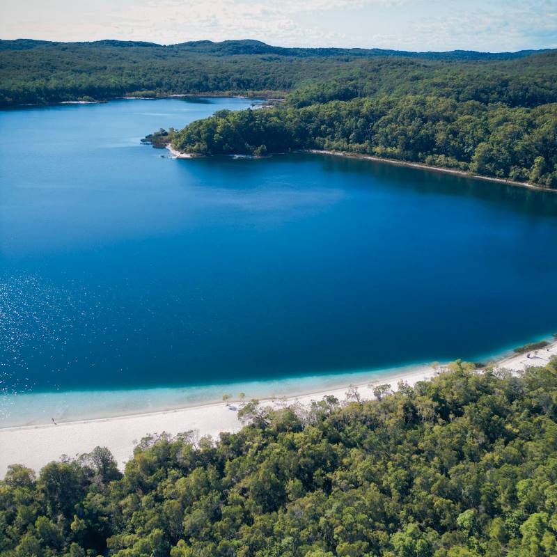 aerial view of the blue ocean surrounded by green forest - Best Beaches in Australia