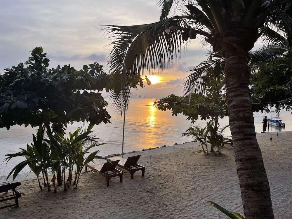 sunset beach view with trees around and beach beds 
