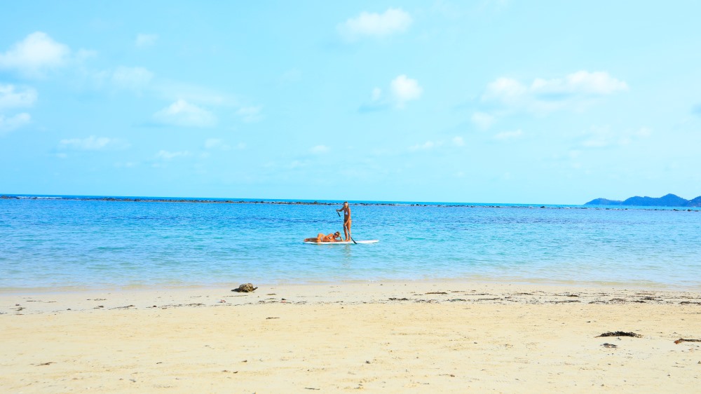 woman in a surfing board in the beach