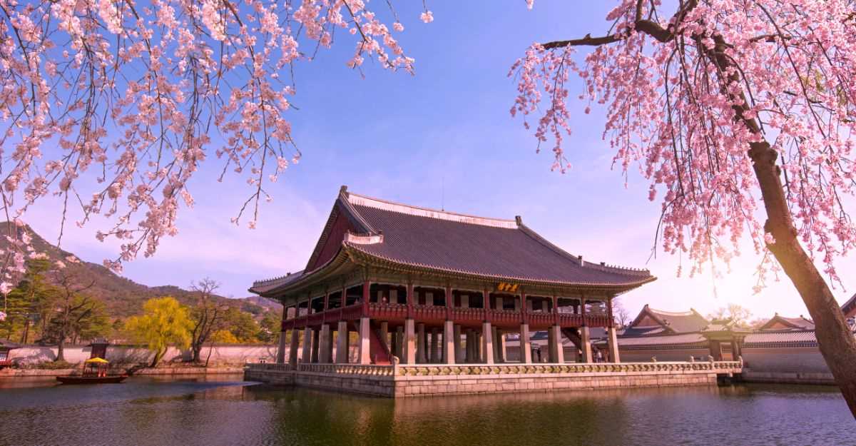 korea digital nomad visa