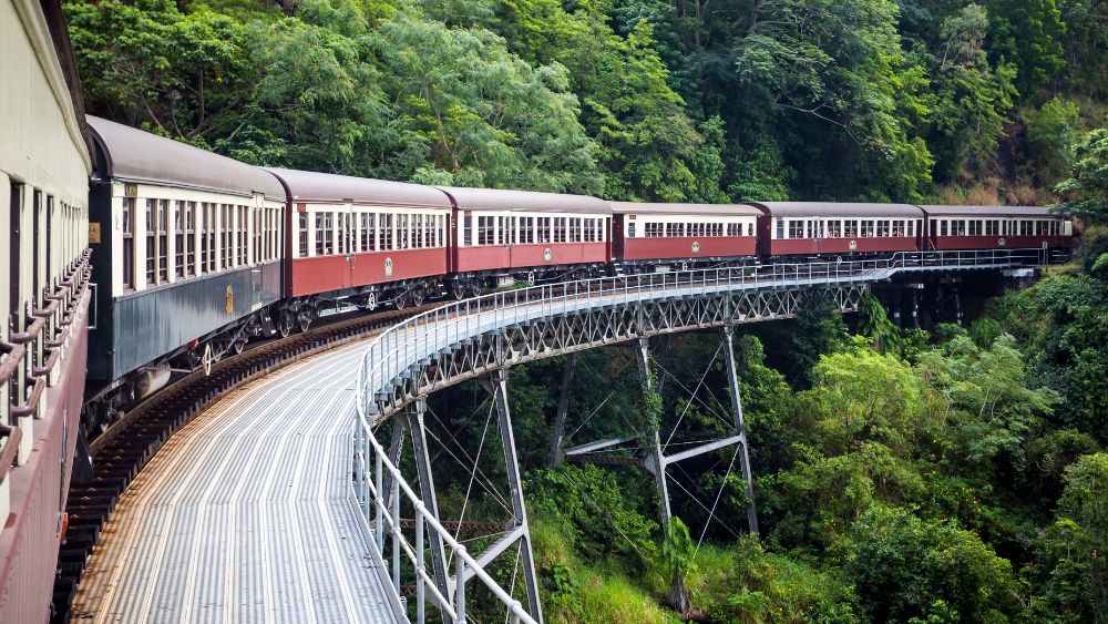 marron train on top surrounded by forest trees - most beautiful train rides in the world