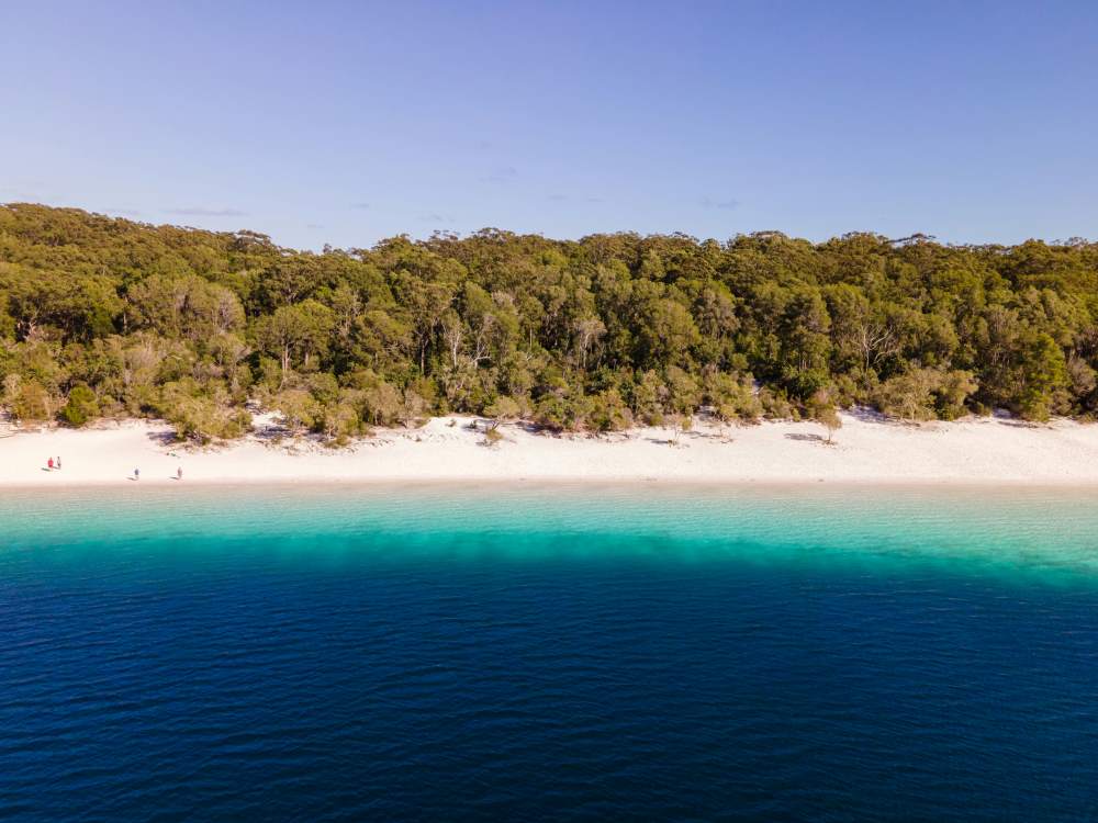blue body of water near the shore with green trees