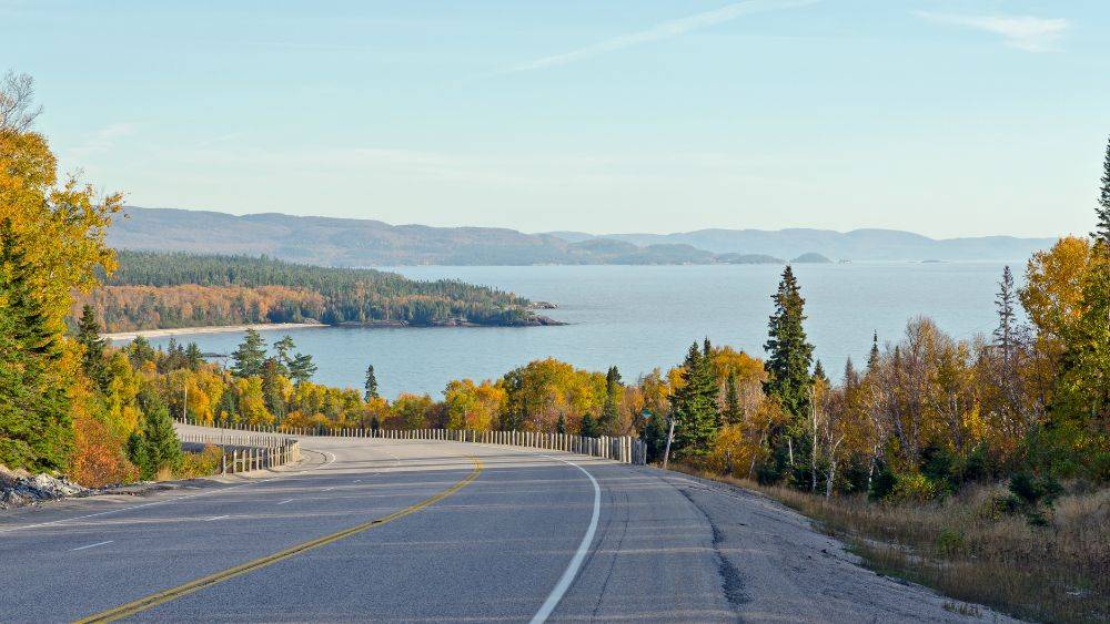 road with ocean view surrounded by trees -Best road trips in the world