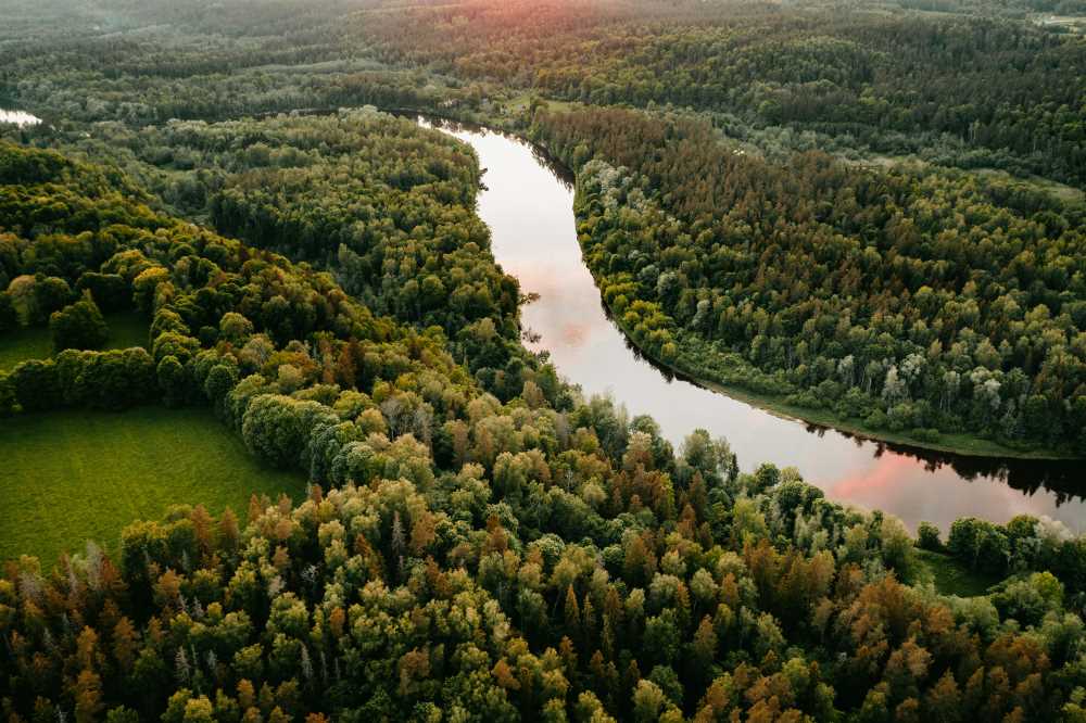 aerial view of a body of water in the middle surrounded by green trees