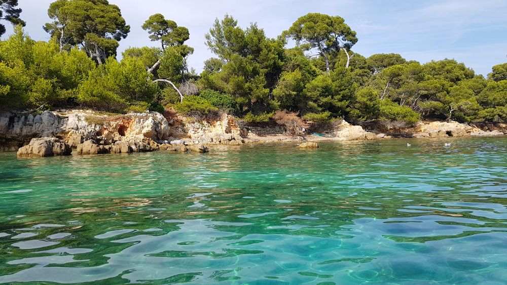 clear green water near a rock formation full of green trees -Best Things to Do in Cannes