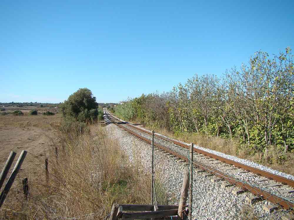 empty railway