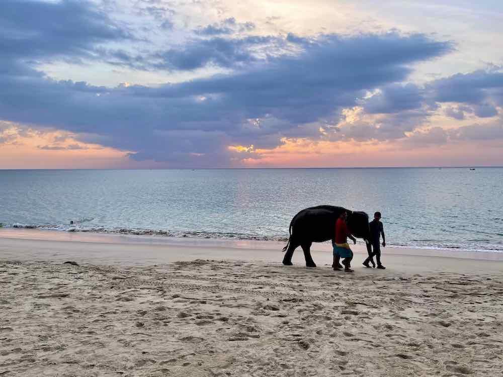 an elephant and two men walking by the beach 