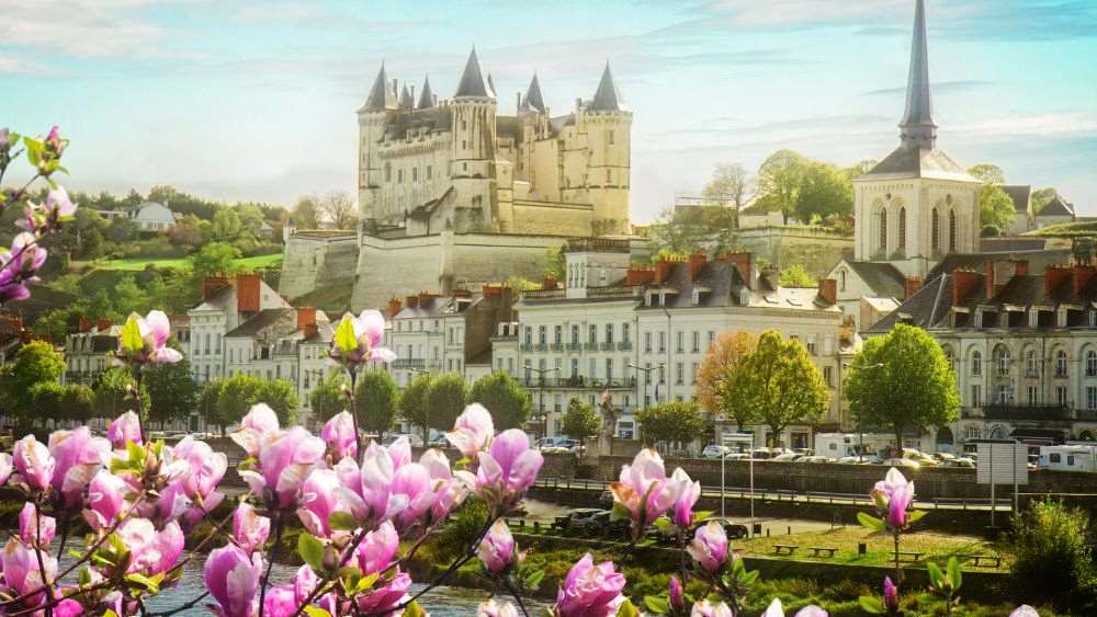 pink flowers in front with castle like building on the background surrounded by green trees and plants- Best Time to Visit France
