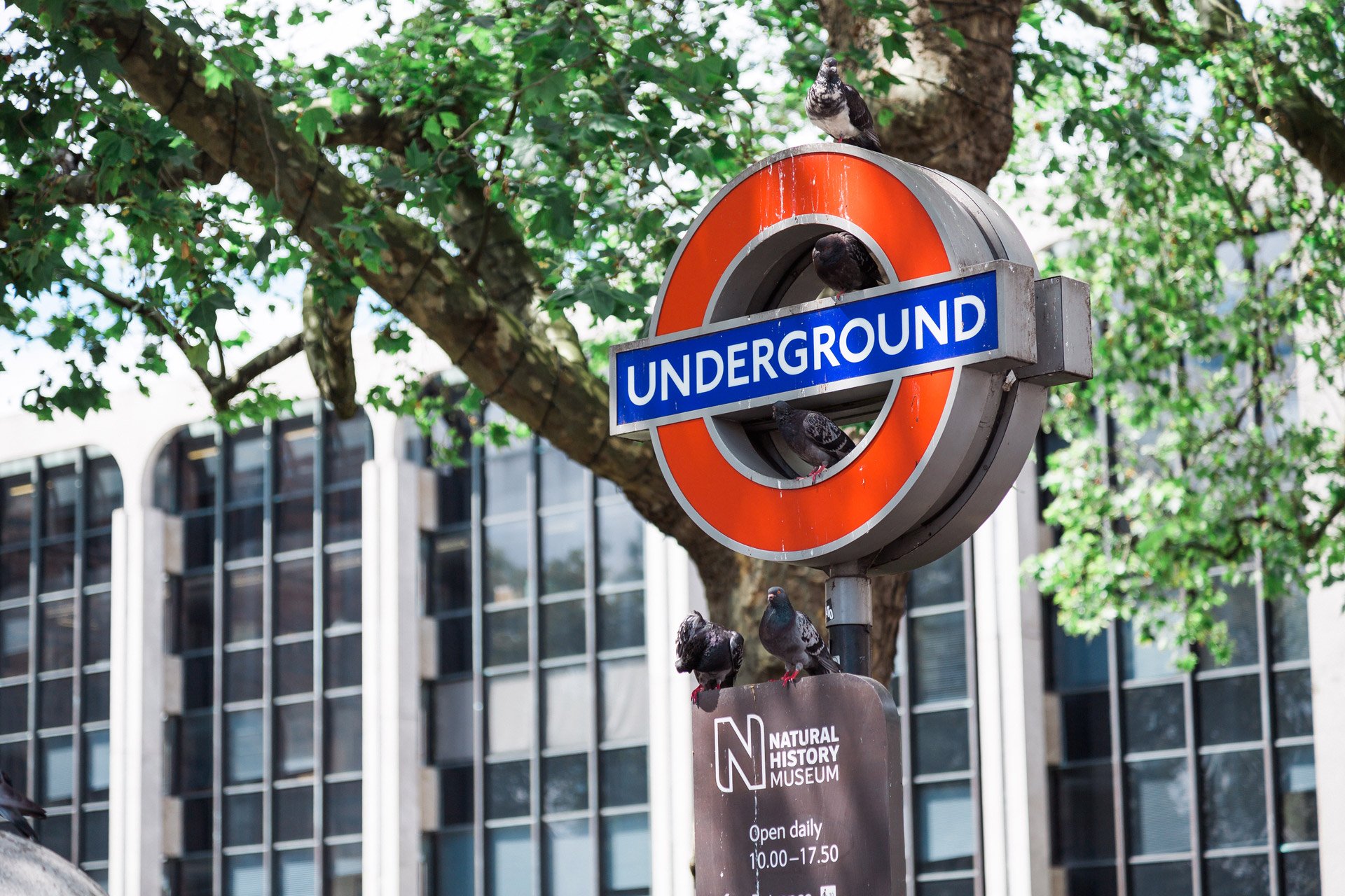 london-bucket-list-5