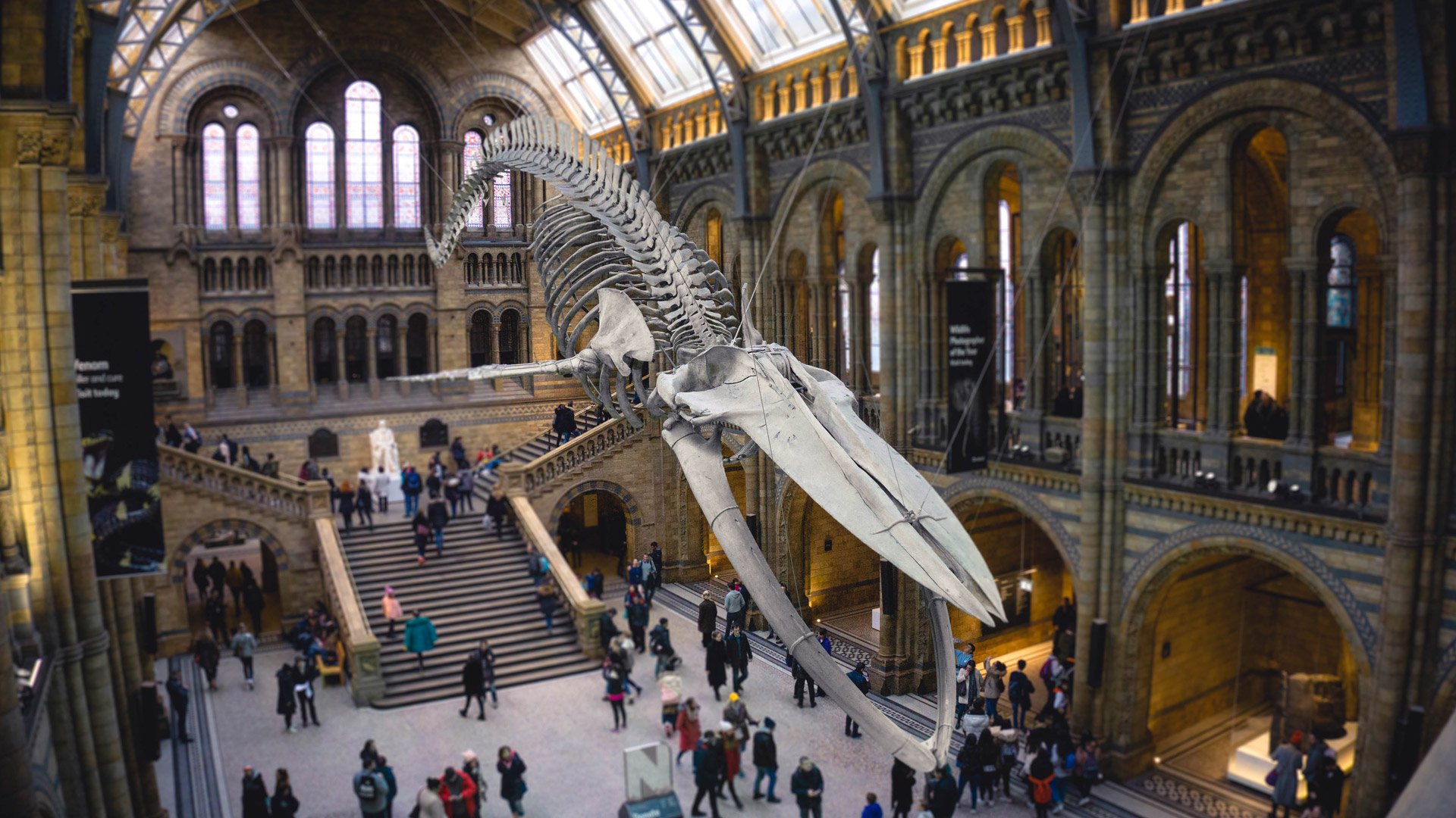 london-bucket-list-6