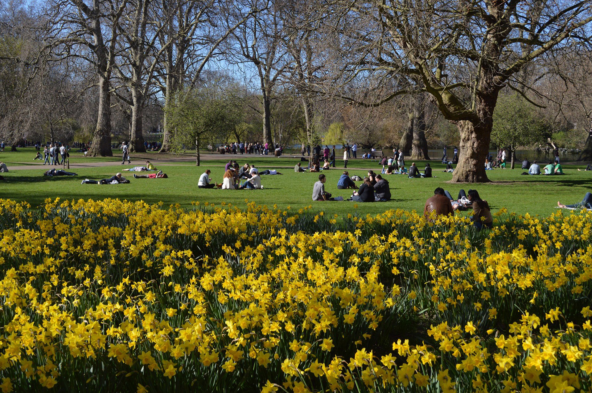 london-bucket-list-9