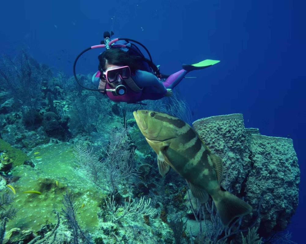 woman diver beside a large fish - Best Scuba Diving in Australia