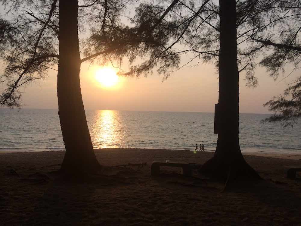 sunset view in the beach with two big trees