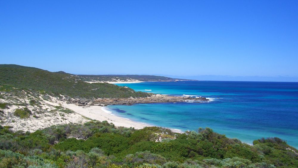 blue ocean near hill full of bushy green plants
