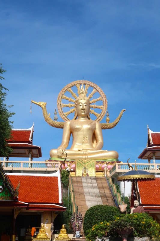 big golden buddha on top of a high stairs- Koh Samui vs Phuket