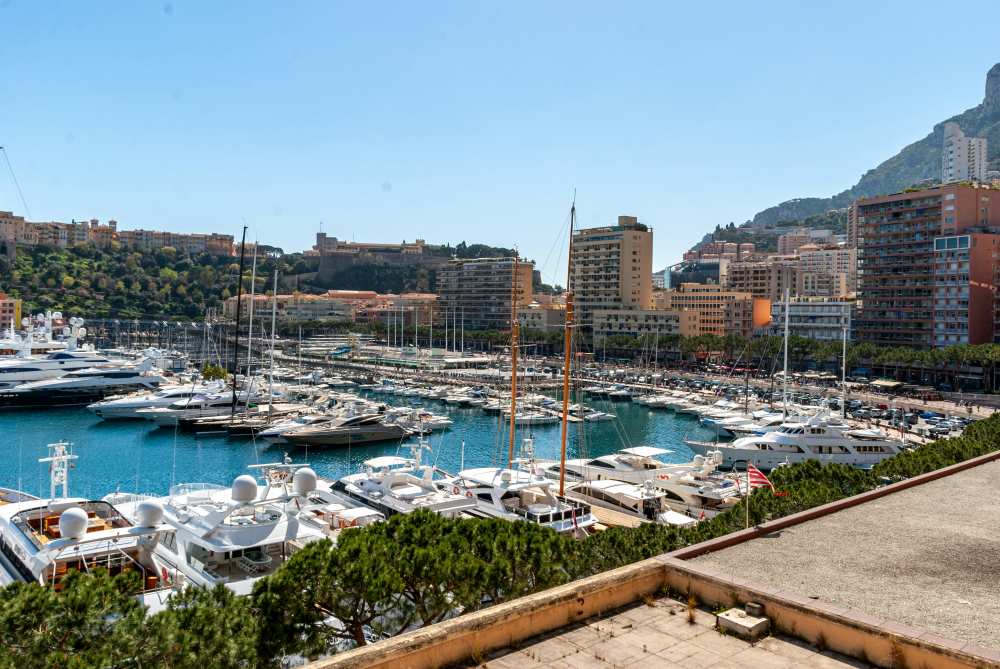 luxurious yachts and motorboats at the dock - Best Things to Do in Cannes
