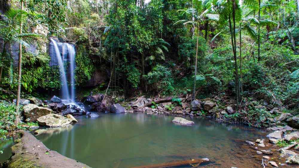 stunning waterfalls in the middle of the forest - Best Places To Visit In Queensland