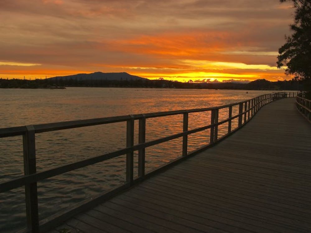 boardwalk near body of water during dawn