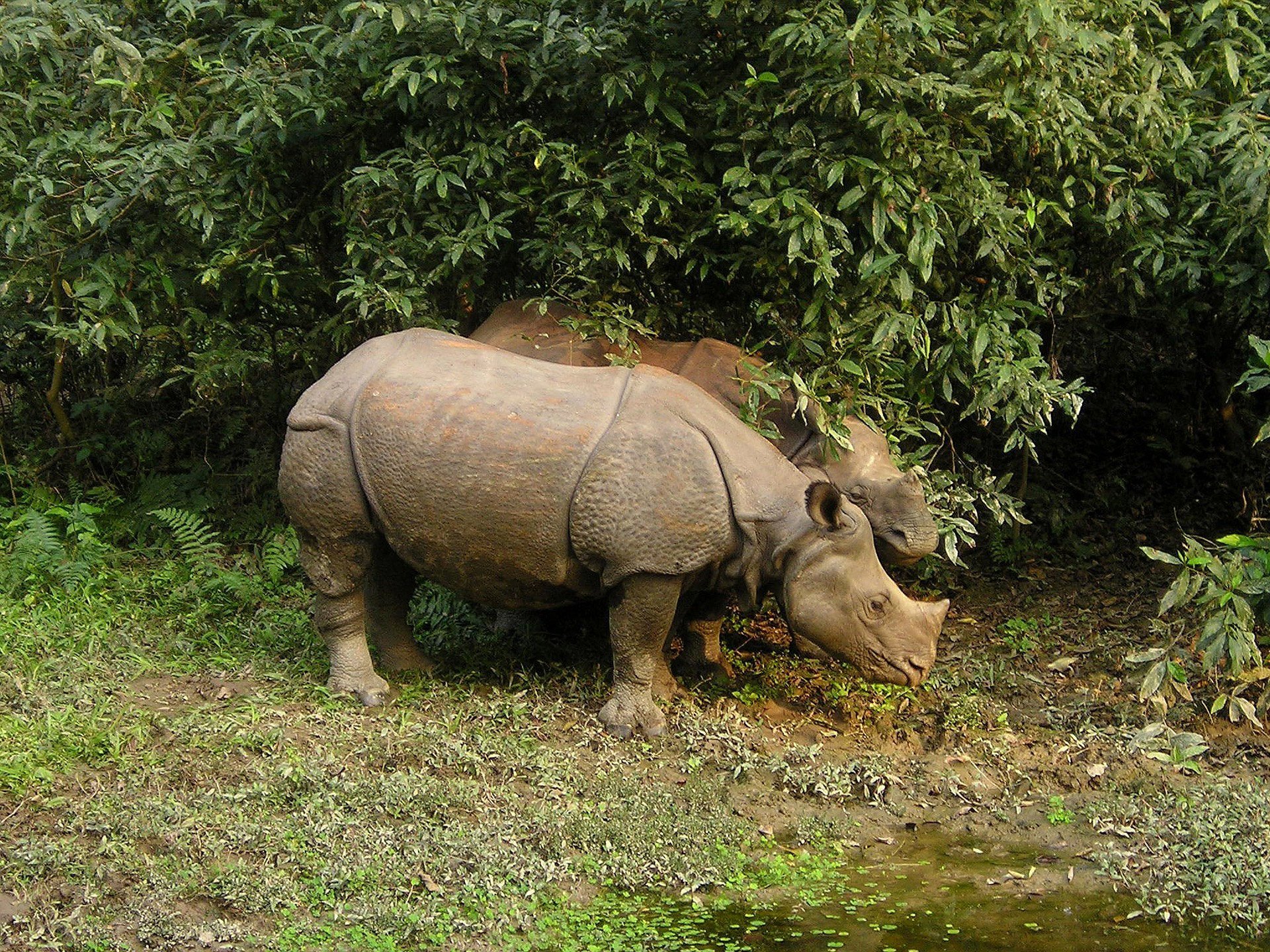 nepal-8