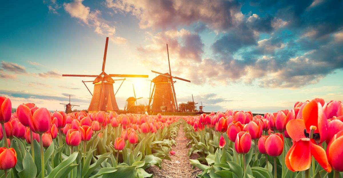 netherlands digital nomad visa