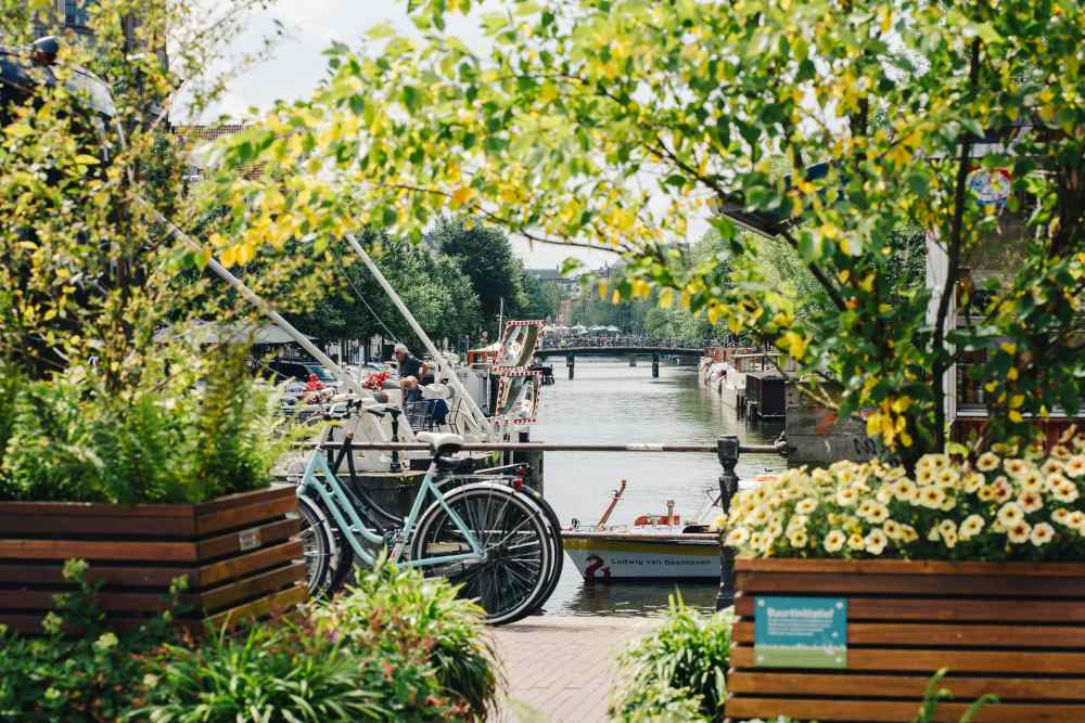 flower on top of wooden bench near canal